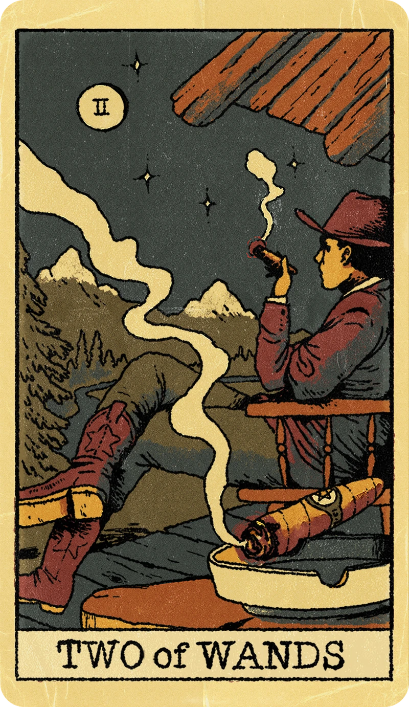 Two of Wands, Tarot for Bros™ Standard Issue Deck